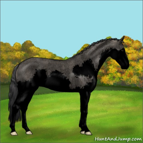 Horse Color:Void Platinum Grullo Roan Splash Rabicano 