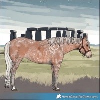 Horse Color:Silver Bay Ice 