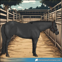 Horse Color:Black Frame