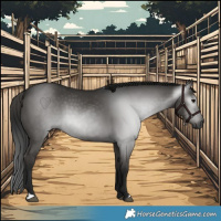 Horse Color:Gray Black 