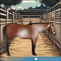 Horse Color:Gray Bay