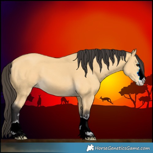 Horse Color:Buckskin 