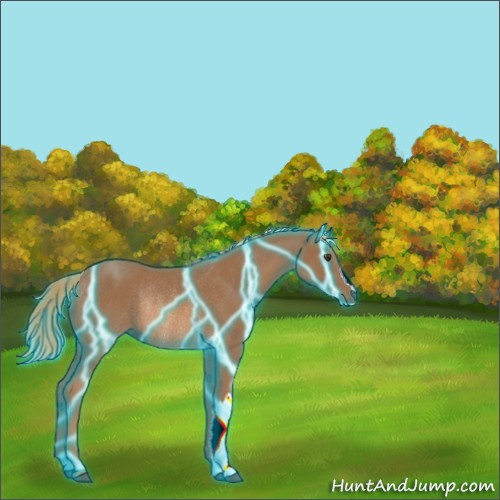 Horse Color:Thunderstruck Chestnut Rabicano 