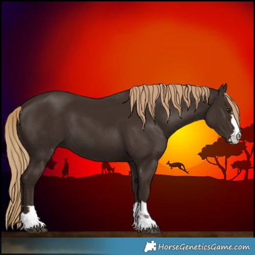 Horse Color:Liver Chestnut 