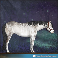 Horse Color:Grullo Ice Onyx Sabino Rabicano 