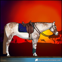 Horse Color:Red Onyx Ice Rabicano 