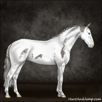 Horse Color:Smoky Black Splash Tobiano 
