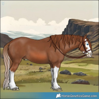 Horse Color:Chestnut Splash 