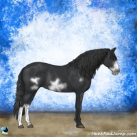 Horse Color:Black Frame Rabicano