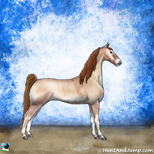 Horse Color:Red Onyx Roan 