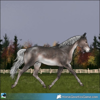 Horse Color:Platinum Liver Chestnut Mushroom Rabicano