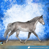 Horse Color:Platinum Chocolate Palomino Mushroom Rabicano 