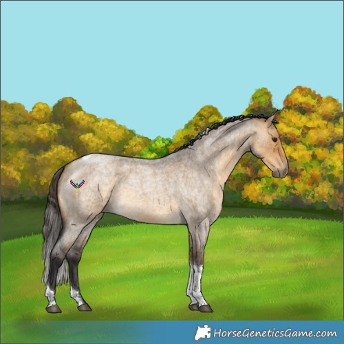Horse Color:Buckskin Roan Dun Tobiano 