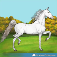 Horse Color:Smoky Grullo Snowflake Varnish Rabicano 