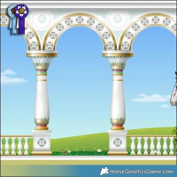 Horse Color:White Spotted Brown Sabino