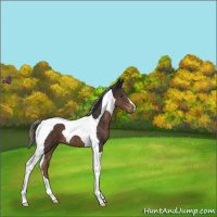 Horse Color:Liver Chestnut Mushroom Tobiano 