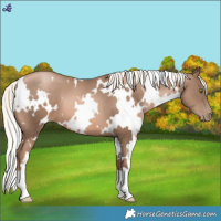 Horse Color:White Spotted Liver Chestnut Pearl Mushroom 