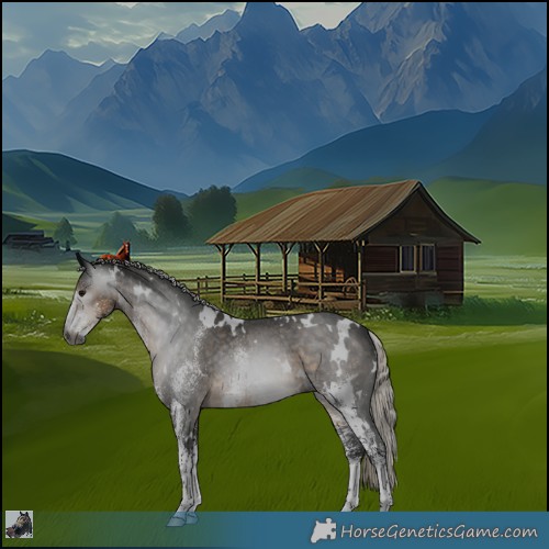 Horse Color:Gray White Spotted Silver Smoky Black Rabicano 