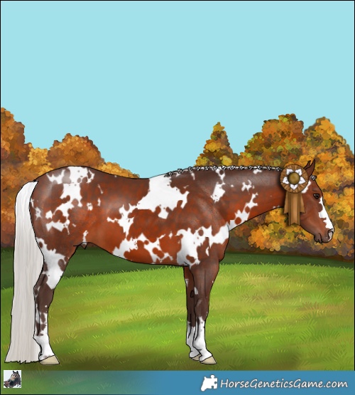 Horse Color:White Spotted Silver Brown 