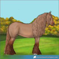 Horse Color:Red Dun 