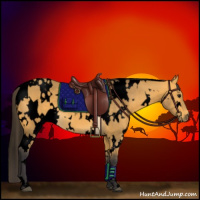 Horse Color:Void White Spotted Buckskin 