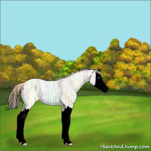 Horse Color:Void Perlino Ice Sabino Splash 