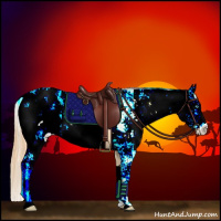 Horse Color:Buckskin Pearl Dun Sabino Appaloosa 