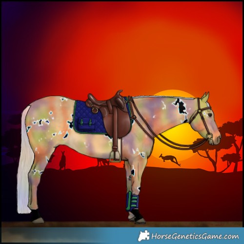 Horse Color:Nacre White Spotted Silver Buckskin 