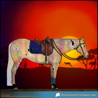 Horse Color:Nacre White Spotted Silver Buckskin 