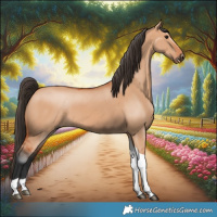 Horse Color:Bay Dun Tobiano 