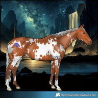 Horse Color:White Spotted Silver Bay 