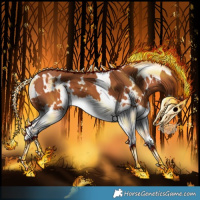 Horse Color:White Spotted Silver Bay Splash