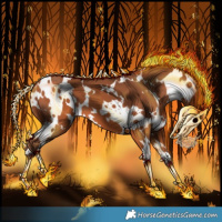 Horse Color:White Spotted Silver Bay 