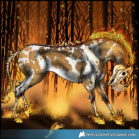 Horse Color:White Spotted Buckskin