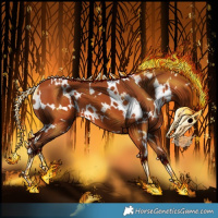 Horse Color:White Spotted Silver Bay 