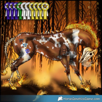 Horse Color:White Spotted Silver Bay