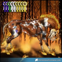 Horse Color:White Spotted Silver Bay