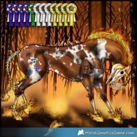 Horse Color:White Spotted Silver Bay 