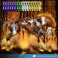 Horse Color:White Spotted Silver Bay 