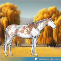 Horse Color:White Spotted Silver Bay Splash 