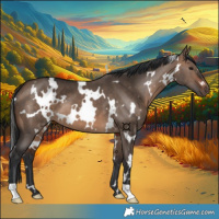 Horse Color:White Spotted Brown Dun 