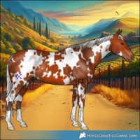 Horse Color:White Spotted Silver Bay 