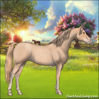 Horse Color:Gold Champagne Roan 