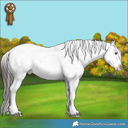 Horse Color:Liver Chestnut Sabino Splash Appaloosa Rabicano 