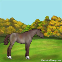 Horse Color:Platinum Chocolate Brown 
