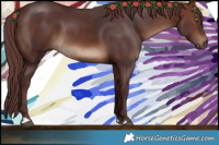 Horse Color:Chocolate Brown