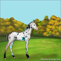 Horse Color:Nacre White Spotted Brown Onyx 