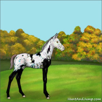 Horse Color:Nacre Watercolor White Spotted Bay Ice Pearl Onyx