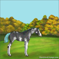 Horse Color:Painted White Spotted Midnight Silver Bay Chinchilla Splash 