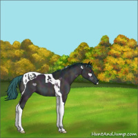 Horse Color:Watercolor Midnight Bay Chinchilla Tobiano 